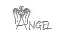 Angel Limousines