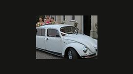 Vw Beetle Weddings